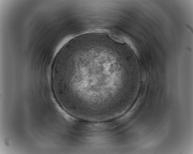 X0000097811054200803141114