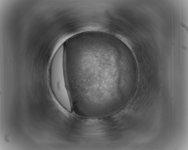 X0000097811056200803141114