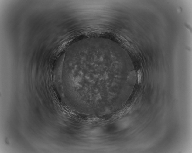 X0000097811059200803141114