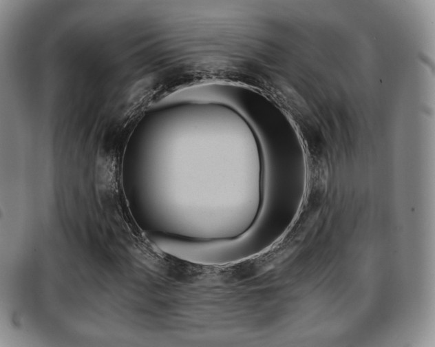 X0000097811060200803141114