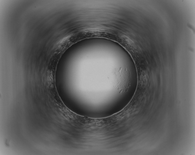X0000097811062200803141114
