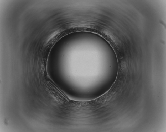 X0000097811064200803141114