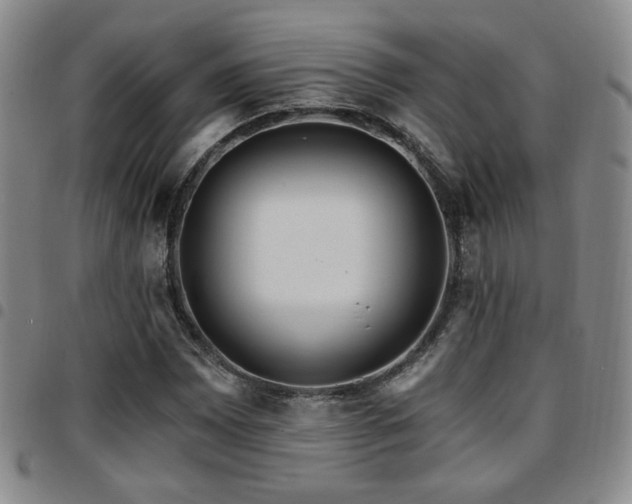 X0000097811065200803141114