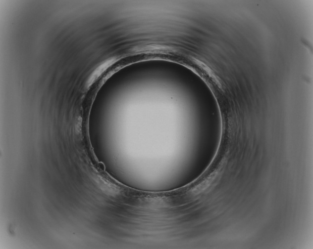 X0000097811066200803141114