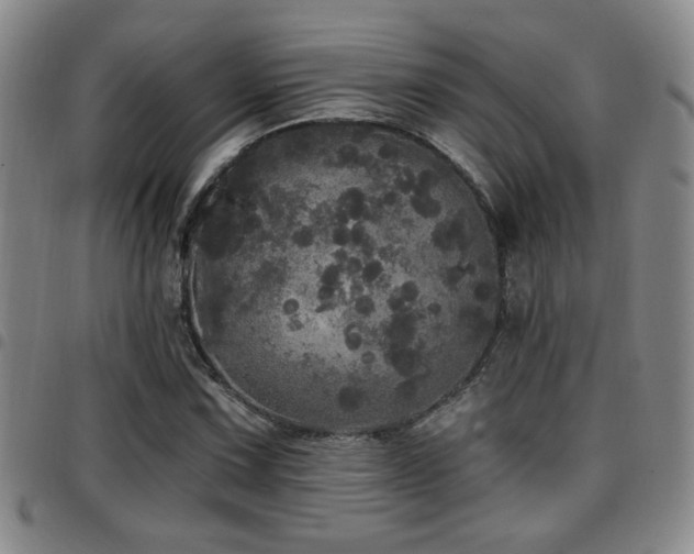 X0000097811067200803141114