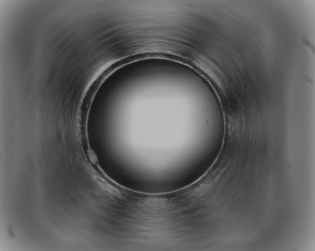 X0000097811068200803141114