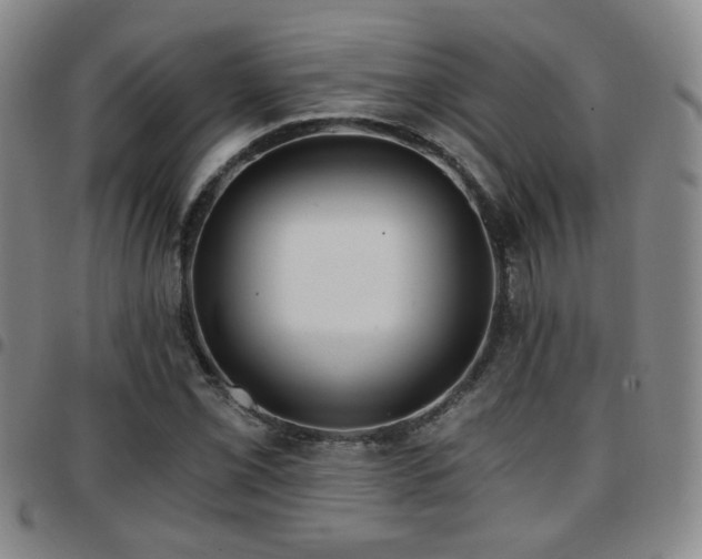 X0000097811069200803141114