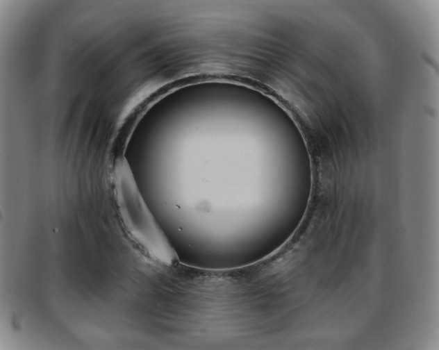 X0000097811070200803141114