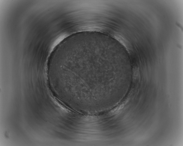 X0000097811071200803141114