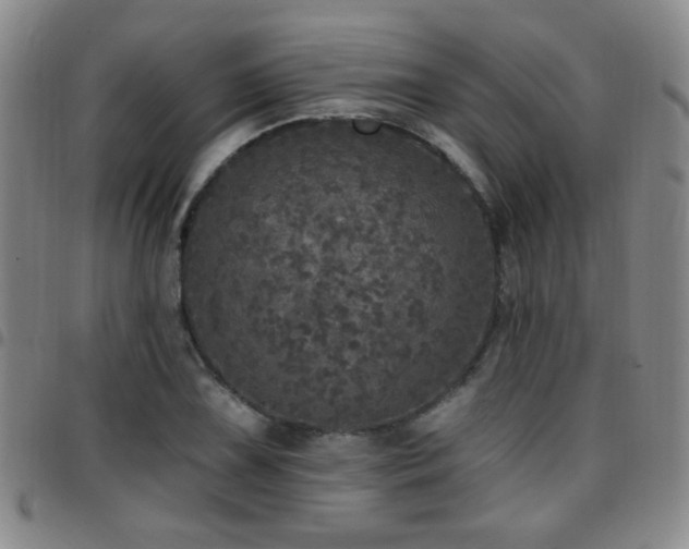 X0000097811075200803141114