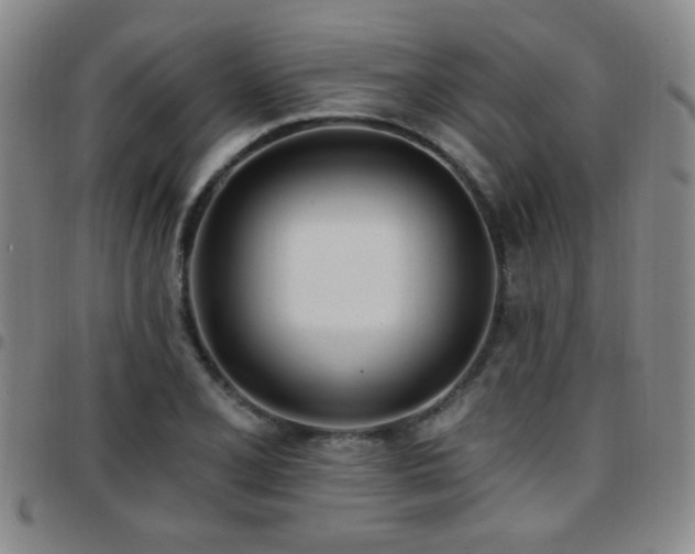 X0000097811077200803141113