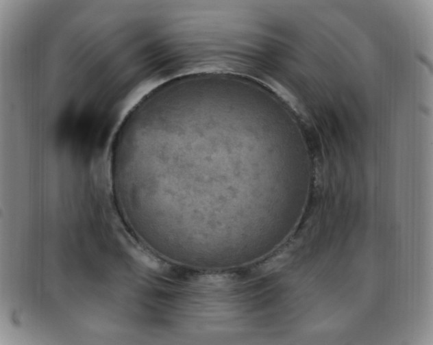 X0000097811078200803141113