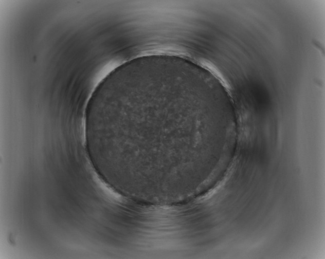 X0000097811079200803141113