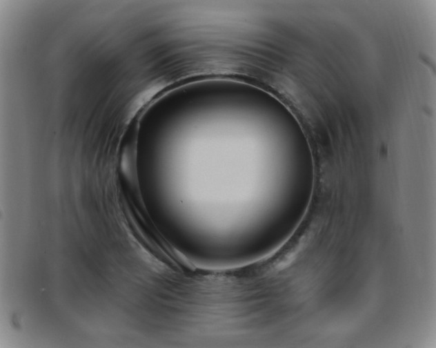 X0000097811081200803141113