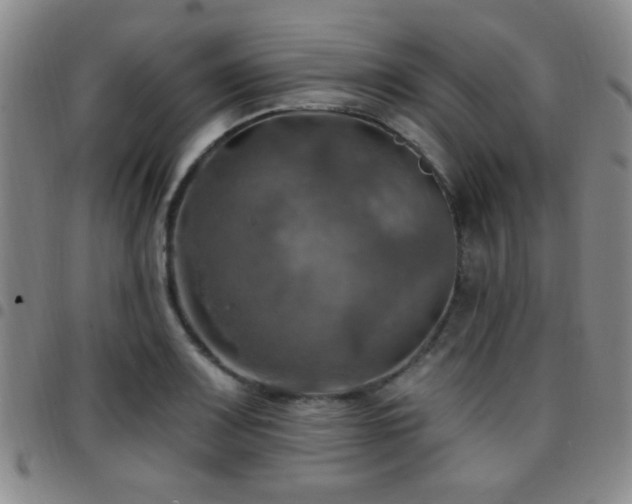 X0000097811083200803141113