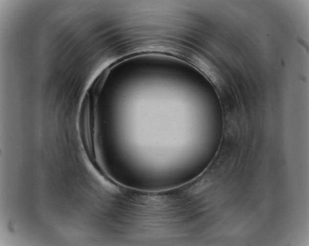X0000097811084200803141113