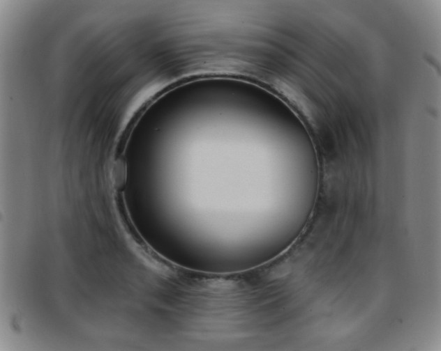 X0000097811085200803141113