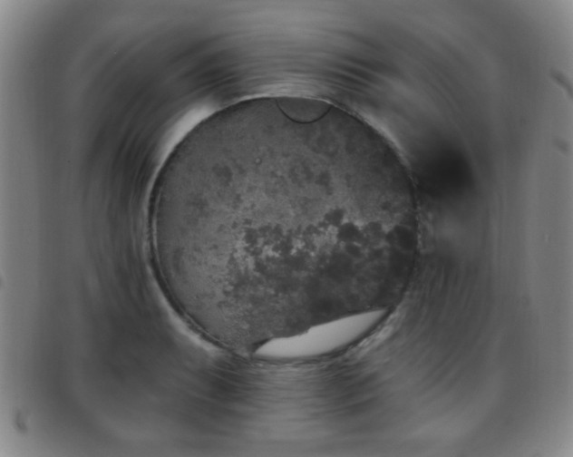 X0000097811087200803141113