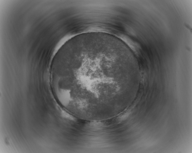 X0000097811094200803141113