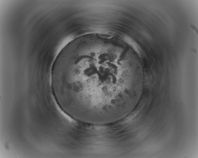 X0000097811095200803141113
