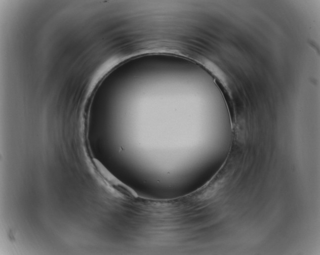 X0000097811096200803141113