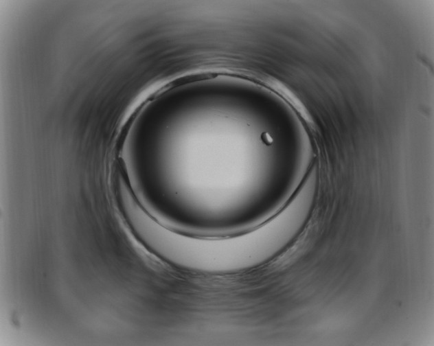 X0000097811101200803141113