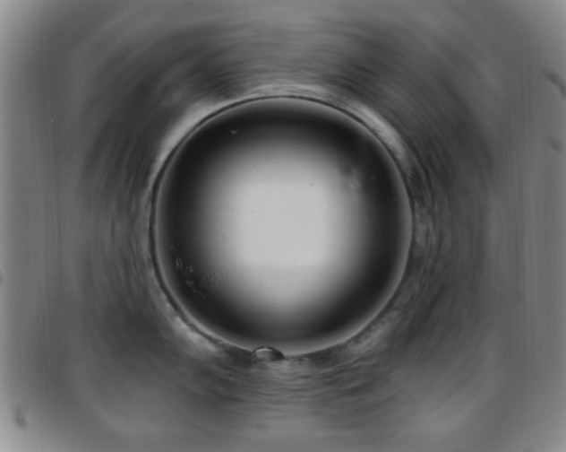 X0000097811102200803141113