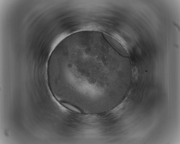 X0000097811103200803141113