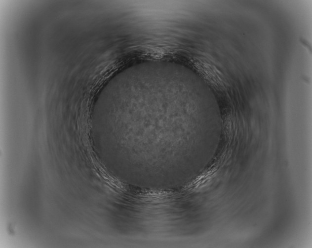 X0000097811105200803141112
