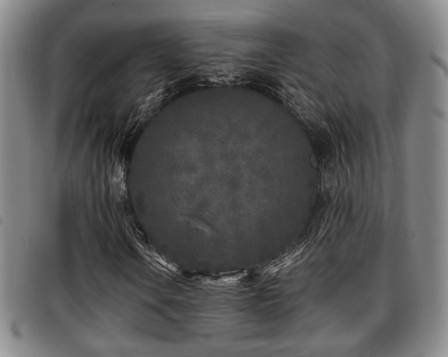 X0000097811106200803141112