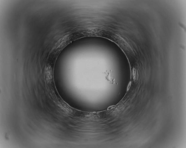 X0000097811107200803141112