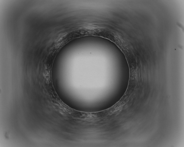 X0000097811109200803141112