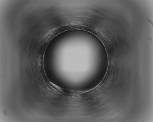 X0000097811110200803141112