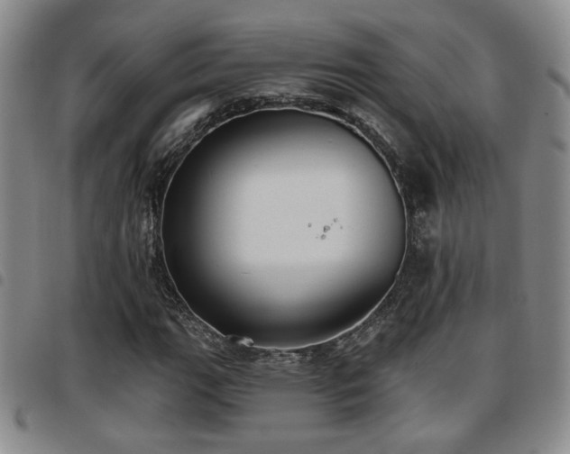 X0000097811111200803141112