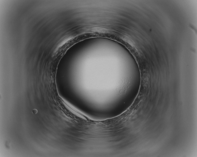 X0000097811112200803141112