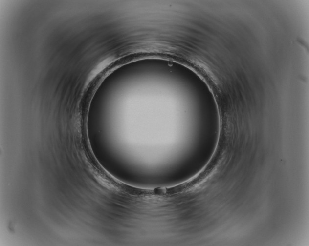 X0000097811114200803141112