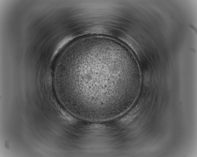 X0000097811115200803141112