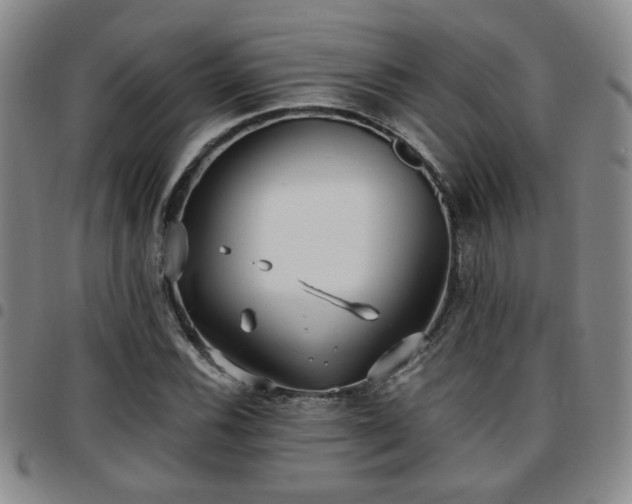 X0000097811116200803141112
