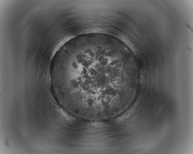 X0000097811117200803141112