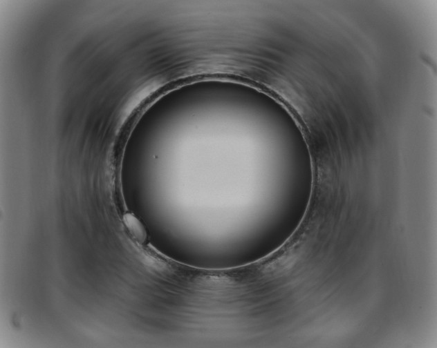 X0000097811119200803141112