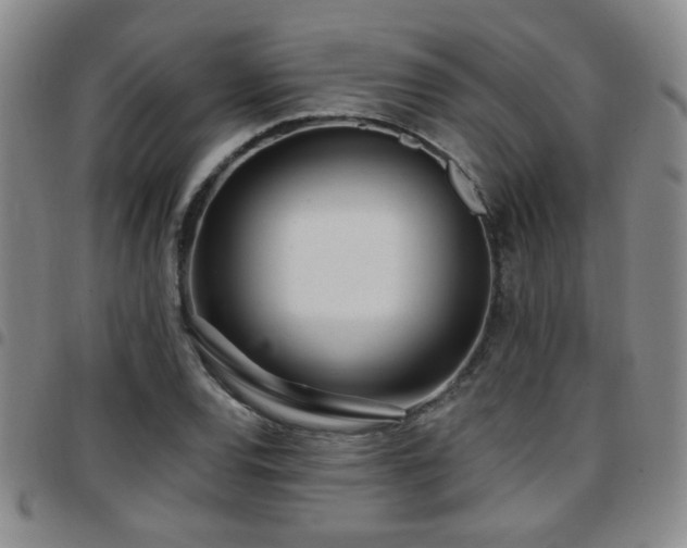 X0000097811120200803141113
