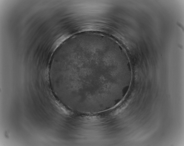 X0000097811121200803141113