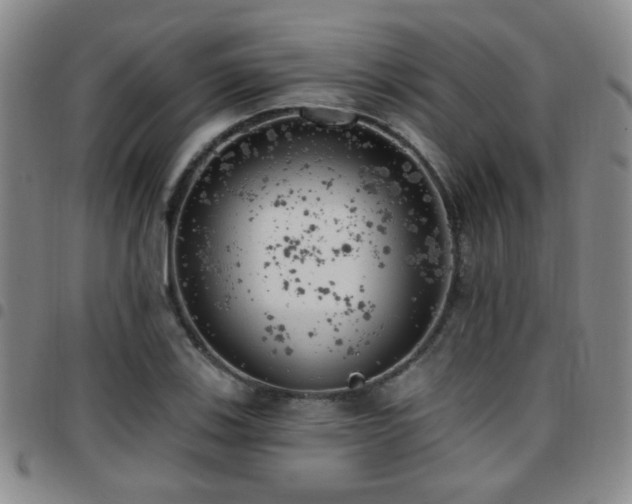 X0000097811123200803141113
