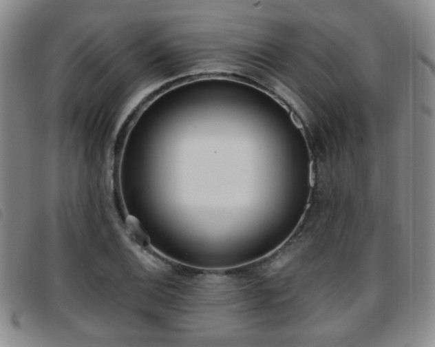 X0000097811124200803141113