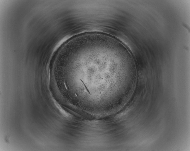 X0000097811127200803141113