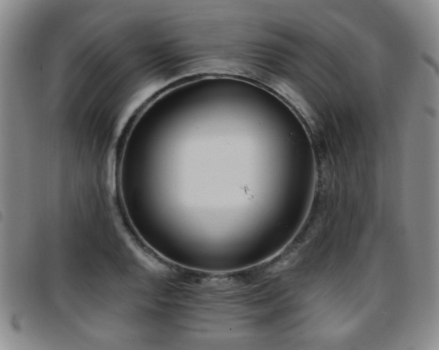 X0000097811128200803141113