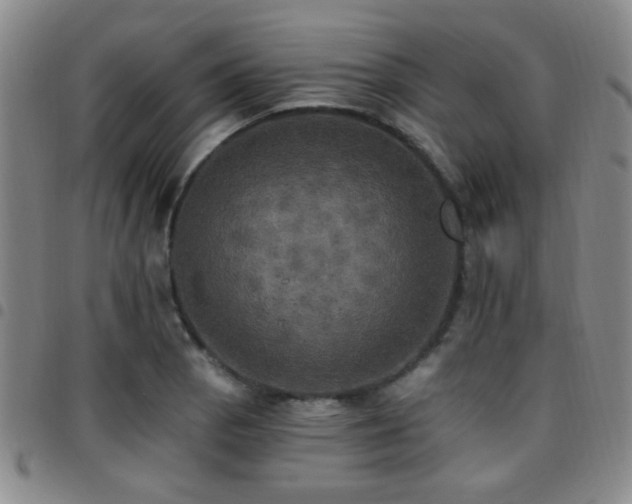 X0000097811129200803141113