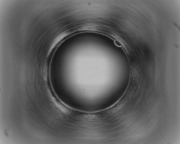 X0000097811131200803141113