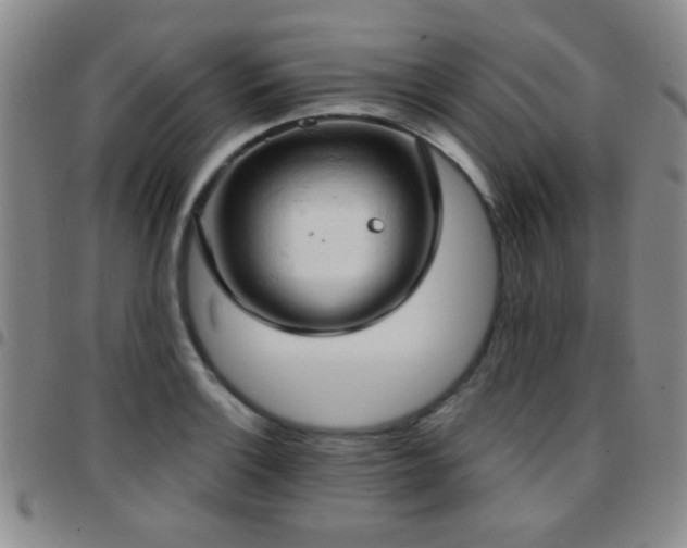 X0000097811132200803141113