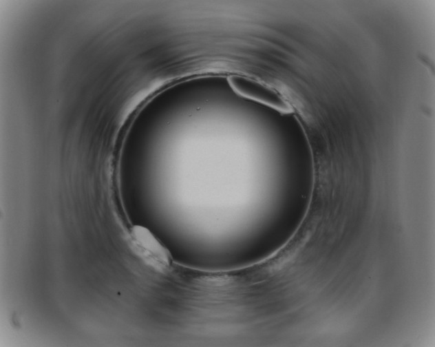 X0000097811134200803141113